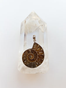 Ammonite Pendant