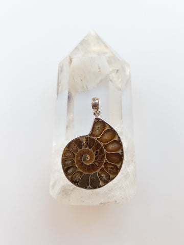 Ammonite Pendant