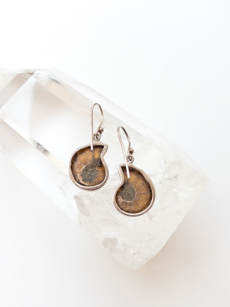 Ammonite Earrings