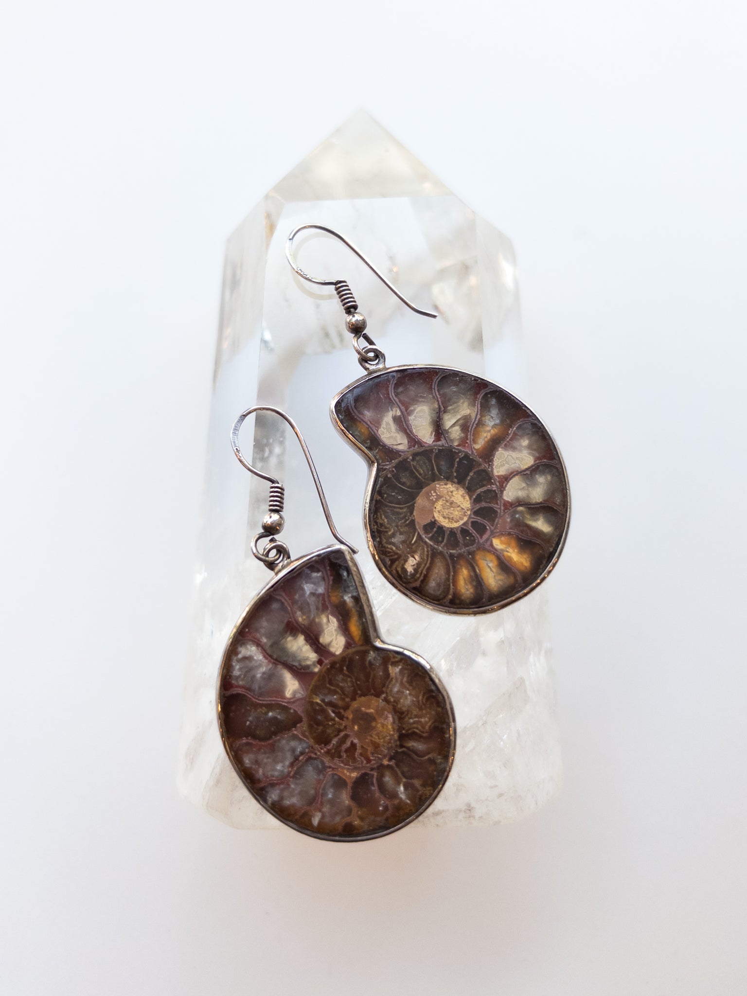 Ammonite Earrings