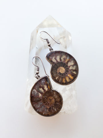 Ammonite Earrings