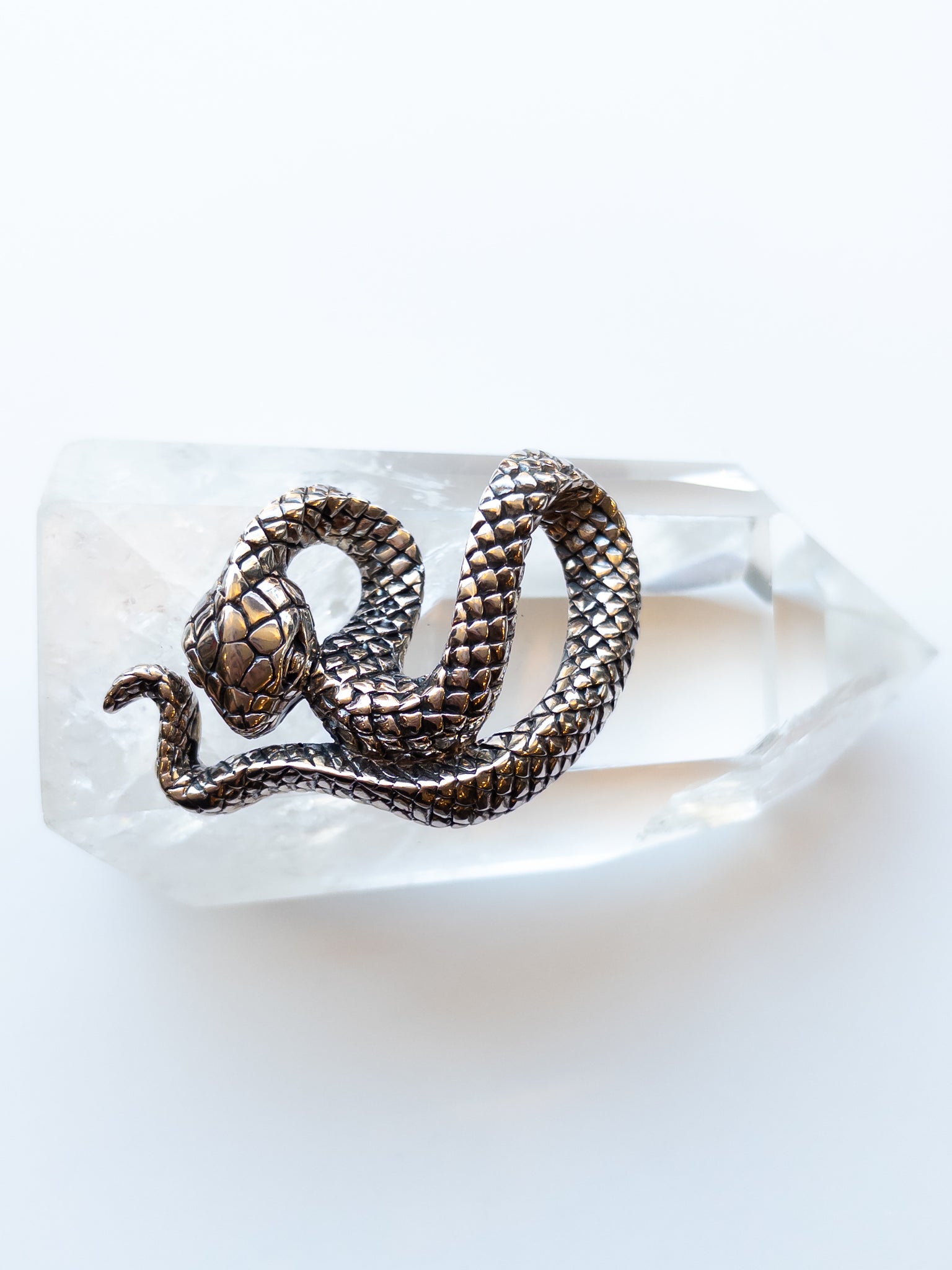 Snake Pendant