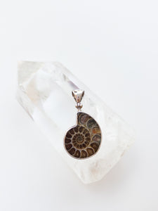 Ammonite Pendant