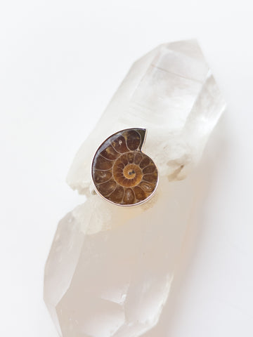 Ammonite Ring