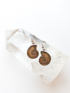 Ammonite Earrings