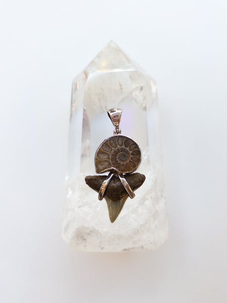 Ammonite Pendant