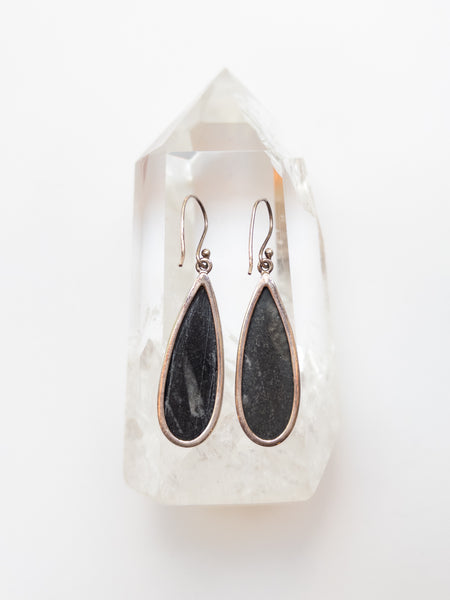 Orthoceras Earrings