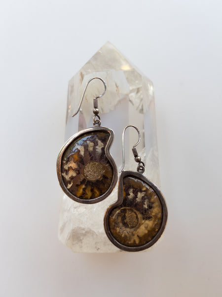 Ammonite Earrings