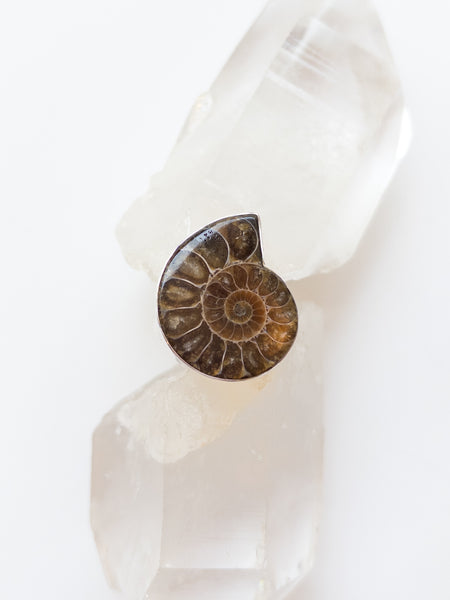 Ammonite Ring