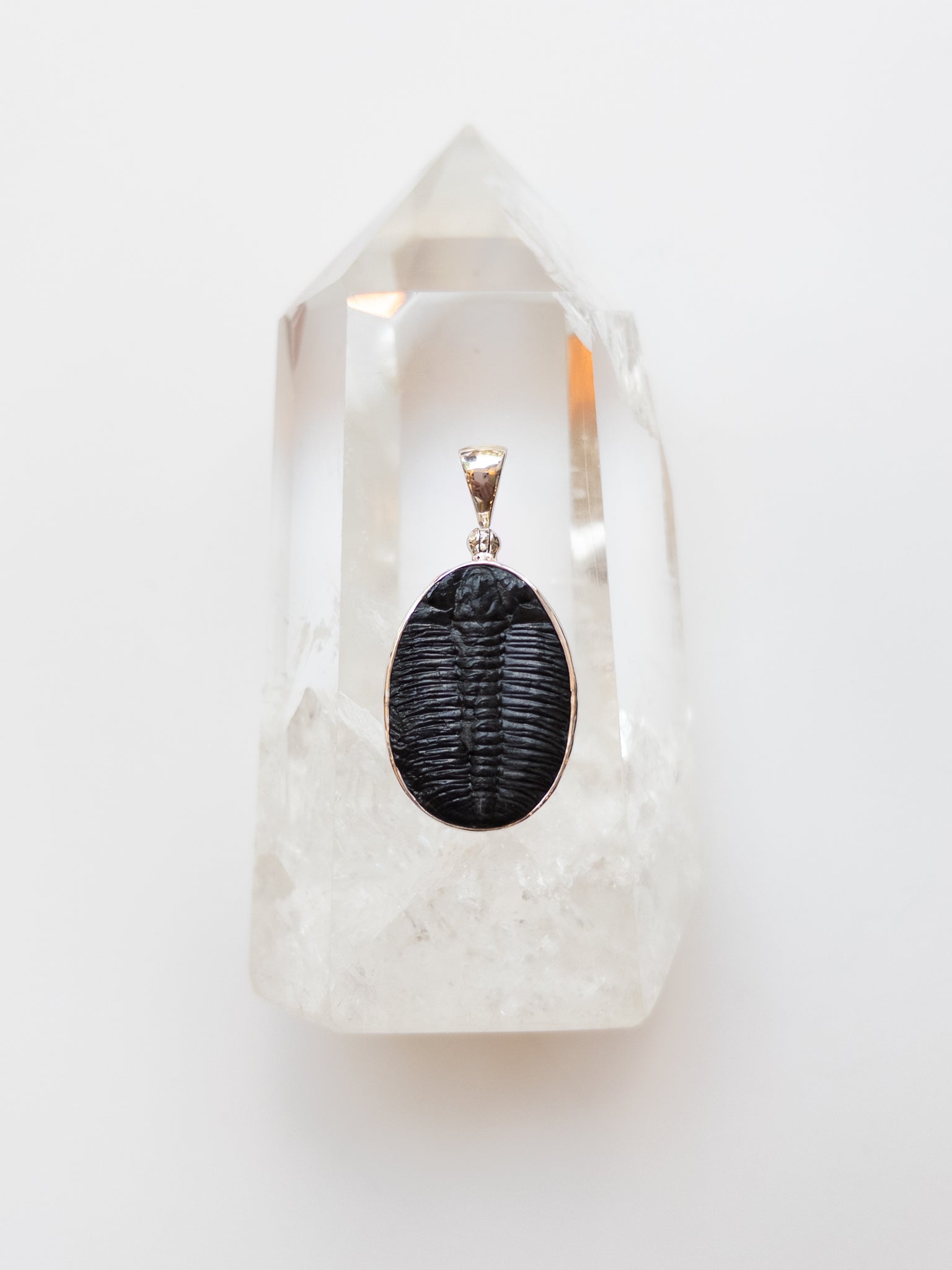 Trilobite Pendant