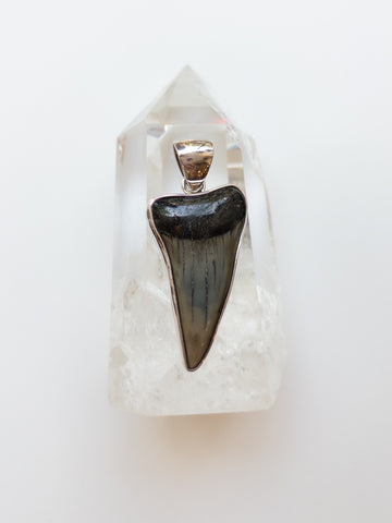 Megalodon Tooth Pendant