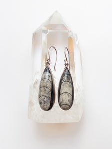 Orthoceras Earrings