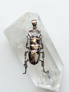 Beetle Pendant