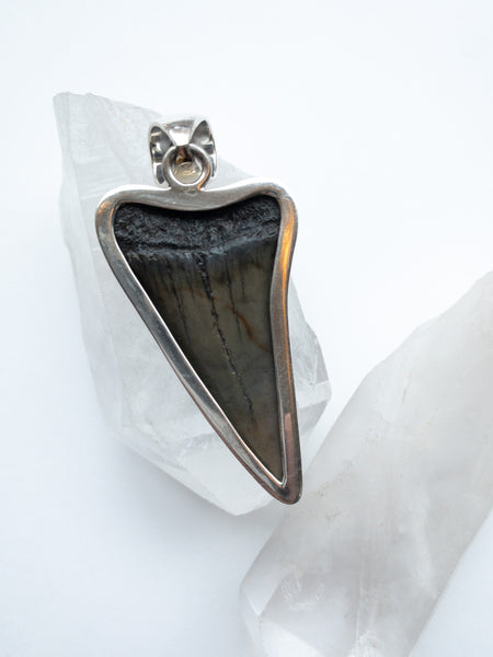 Megalodon Tooth Pendant