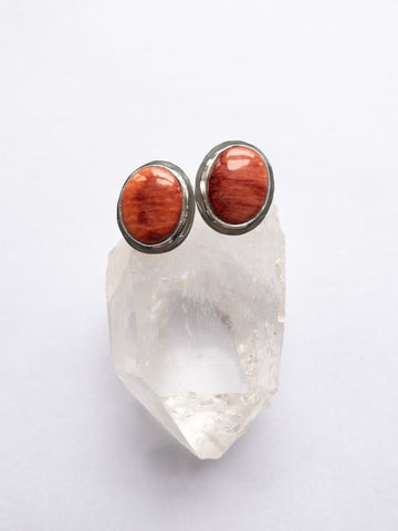 Spiny Oyster Studs