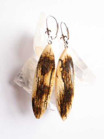 Fossilized Woolly Mammoth Tusk Earrings