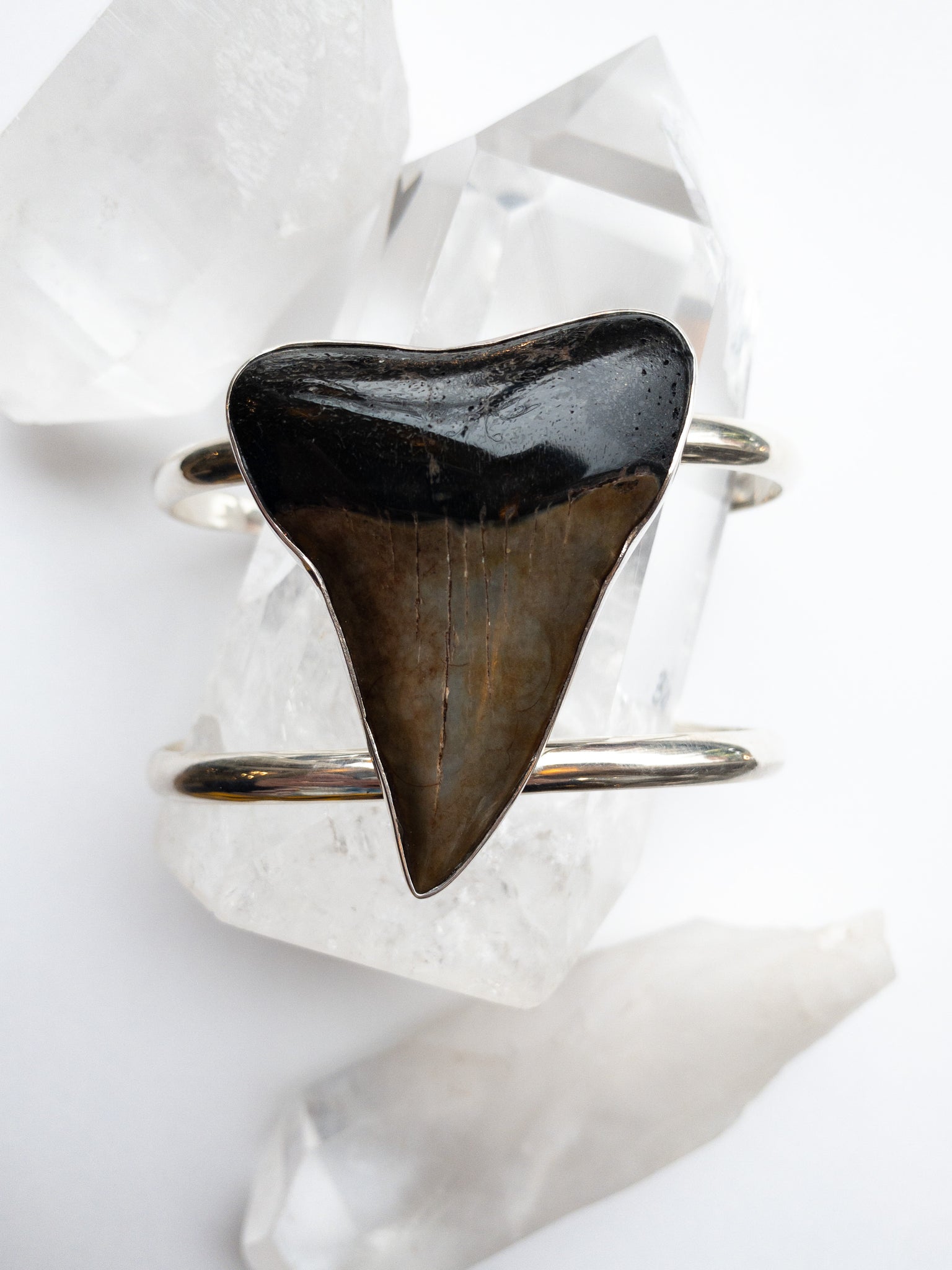 Megalodon Tooth Cuff