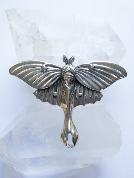 Lunar Moth Ring